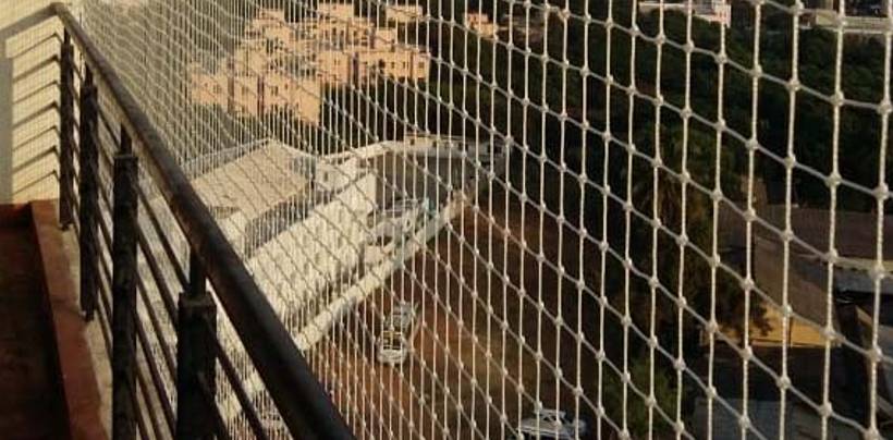 Bird Protection Nets In Bangalore | Call 9901102266 for Free Inspection