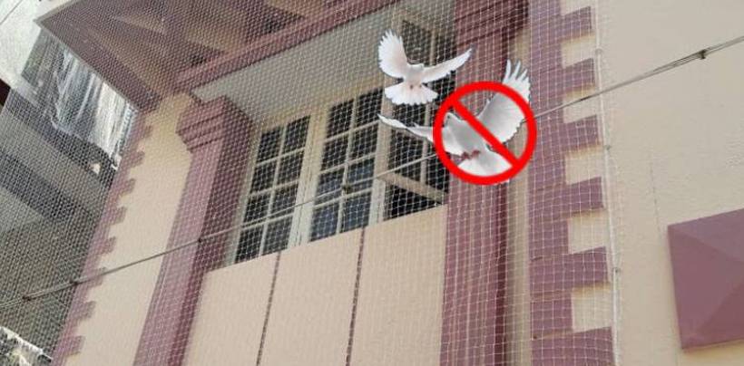 Pigeon Net Installation In Bangalore | Call 9901102266 for Best Quality Net 